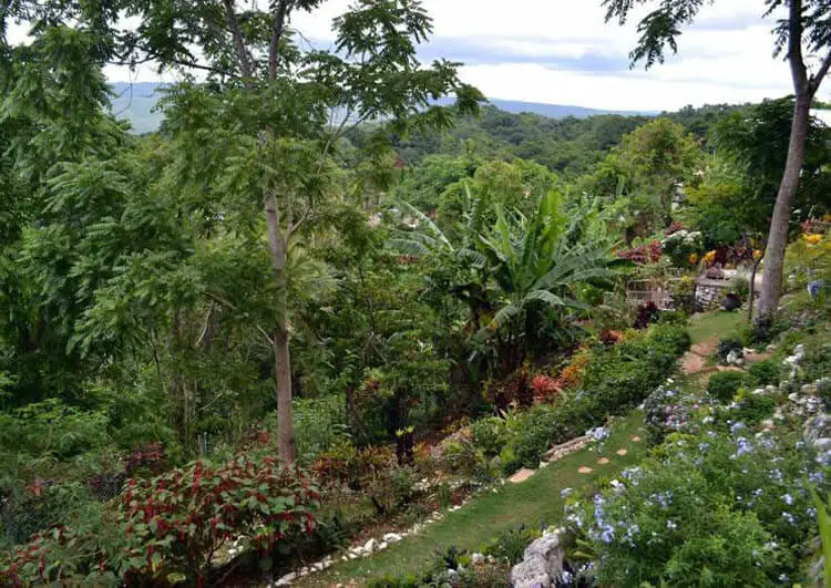 Ahhh… Ras Natango Gallery and Garden, Montego Bay, Jamaica