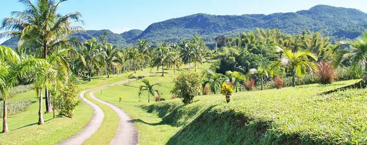 Croydon in the Mountains, Jamaica