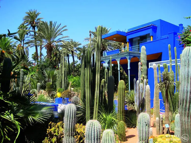 Majorelle Botanical Garden, Marrakech