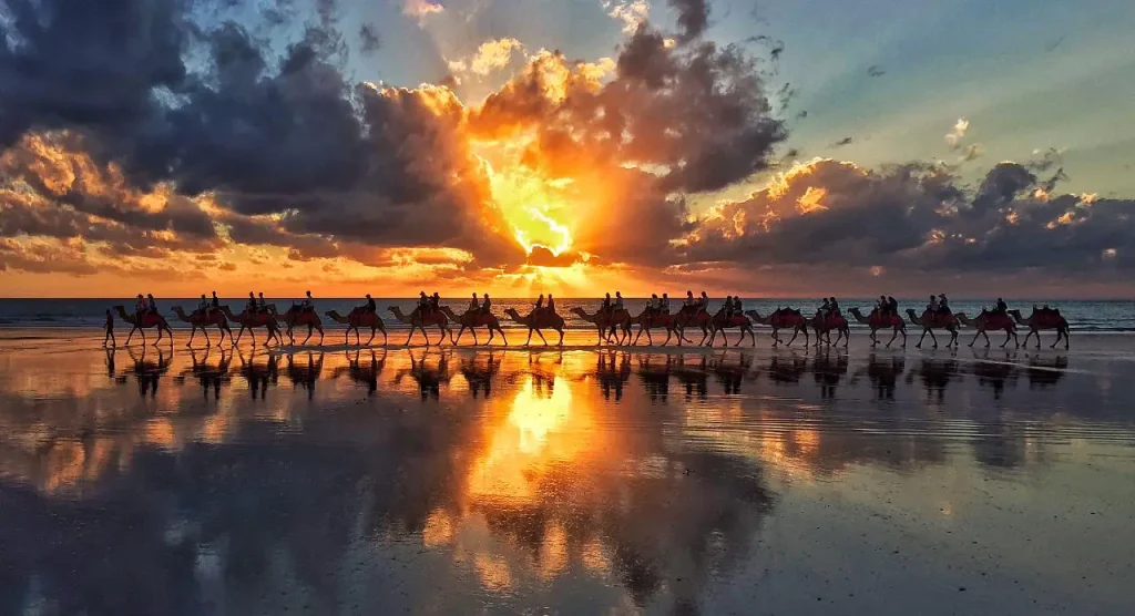 Broome Camel Ride, Cable Beach