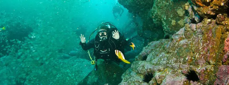 Discover Australia's Best Underwater World