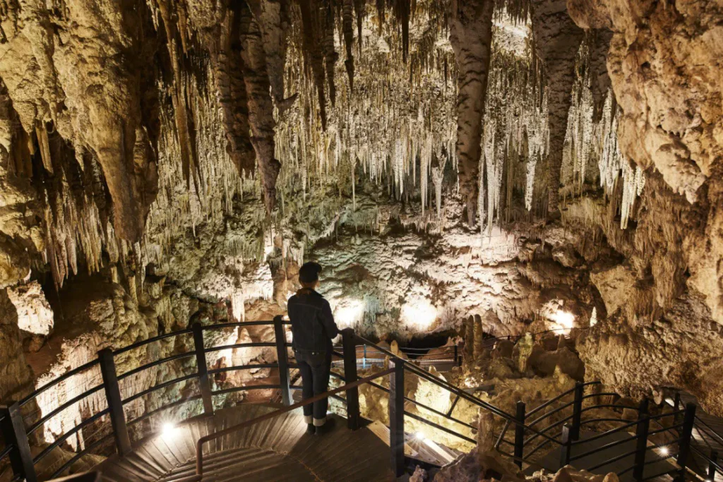 Ngilgi Cave, Yallingup