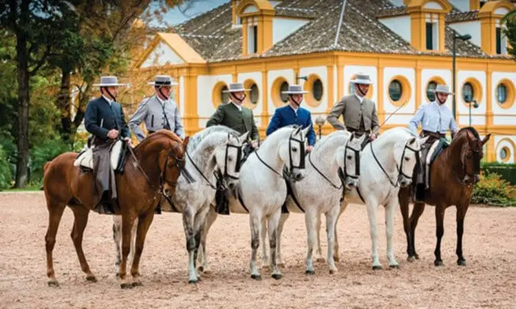 Royal Andalusian School of Equestrian Art, Jerez